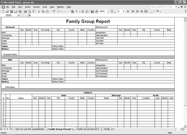 CensusTools Family Group Report Template