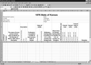 CensusTools 1875 Kansas Census Template screenshot