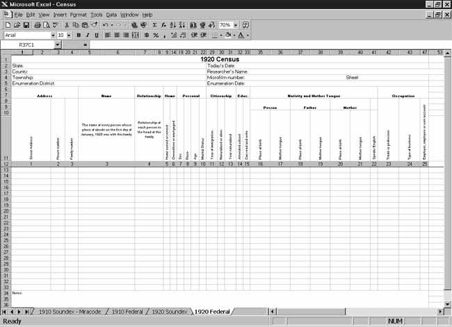 CensusTools 1920 US Census Template